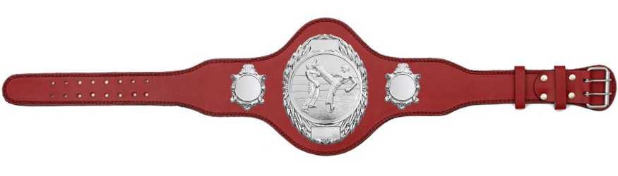 KICKBOXING TITLE BELT - PLT286/S/KBOS-4 COLOURS